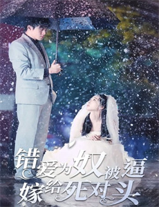 武状元苏乞儿之天降神谕